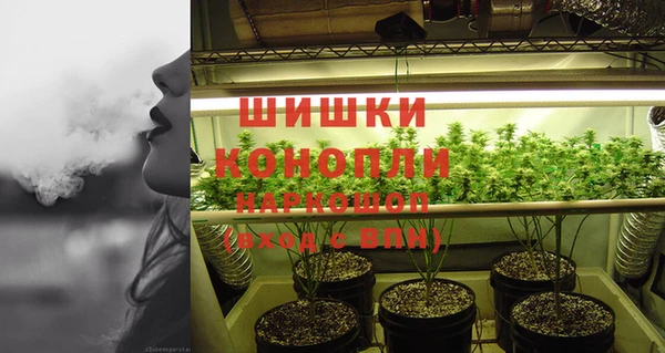 PSILOCYBIN Балахна