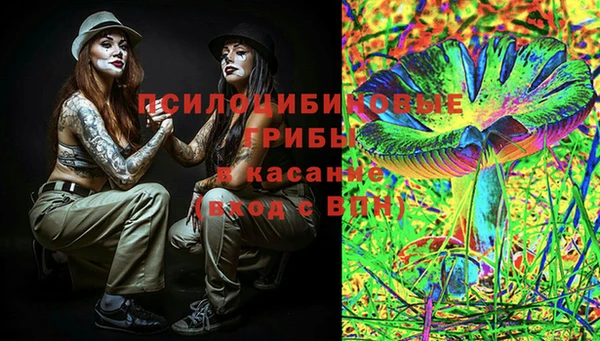 ешки Белокуриха