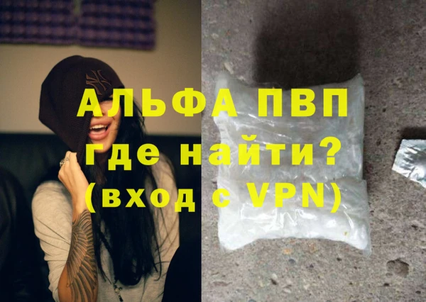 PSILOCYBIN Балахна