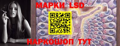 крисы Гай