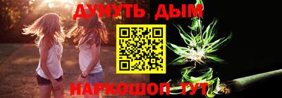 сатива Гатчина