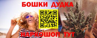 сатива Гатчина