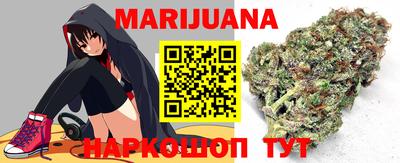 сатива Гатчина
