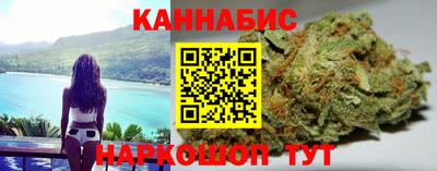 сатива Гатчина