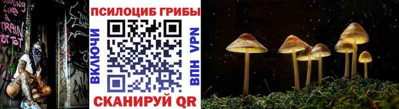 KRAKEN ссылка Лыткарино Псилоцибиновые грибы ЛСД